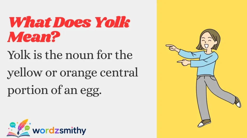 What Does Yolk Mean?