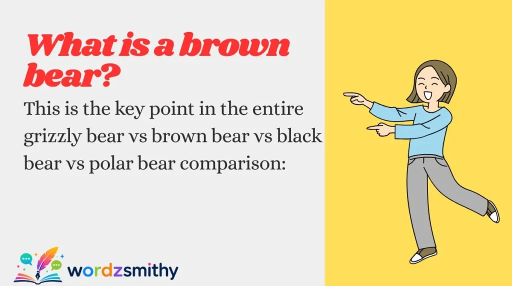 What is a brown bear?