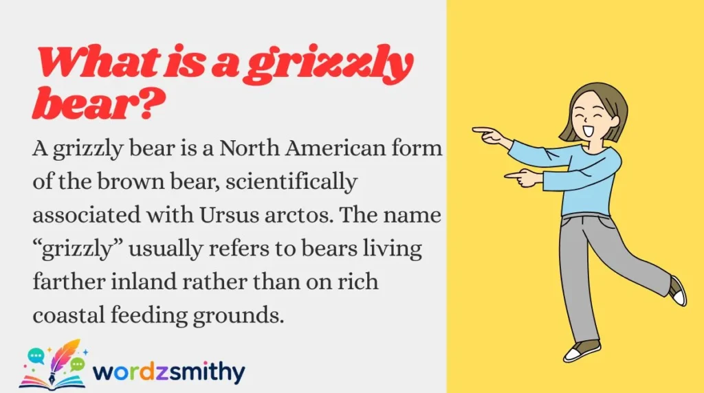 What is a grizzly bear?