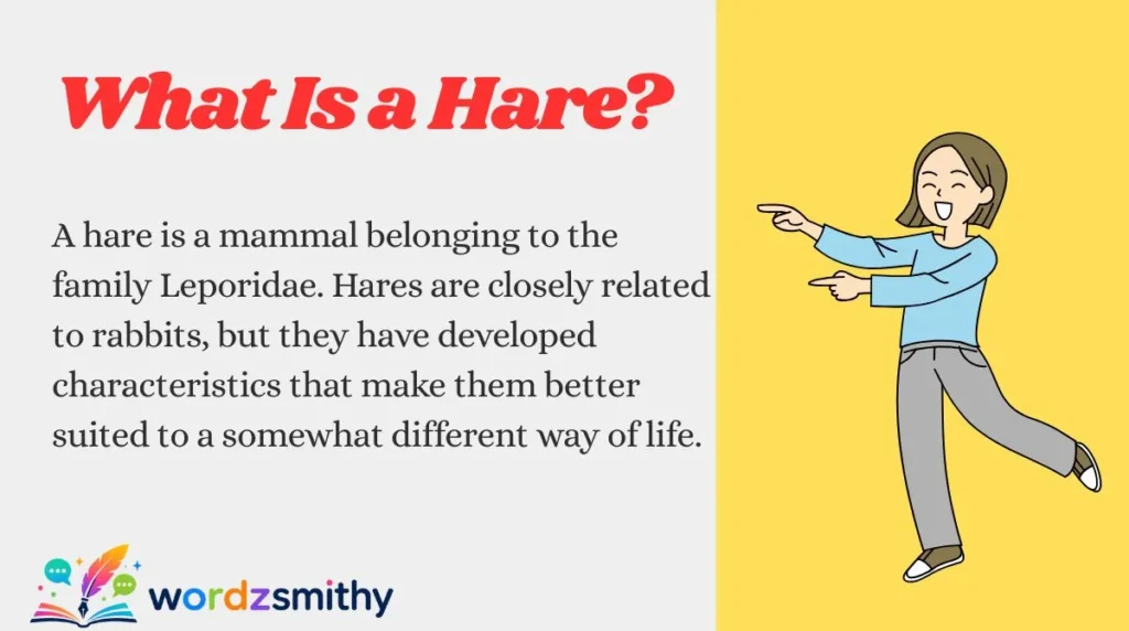 What Is a Hare?