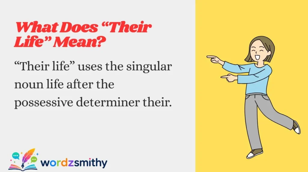 “Their life” uses the singular noun life after the possessive determiner their.
